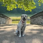 Nicholas S Moser - @nicholasmoser67 - Instagram