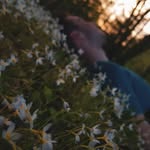 Nicholas Nassar - @nicholasnassarpufi - Instagram