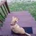 Nicholas Neace - Facebook