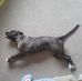 Nicholas Newby - Facebook