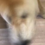 Nicholas Ngai - @ngai3877 - Instagram