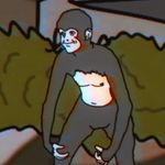 nicholas ochs - @chimpandeez_nutz - Instagram