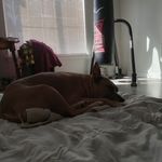 Nicholas Odell - @nicholaso543 - Instagram