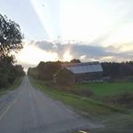Nicholas O'Dell - @spectorodell - Instagram