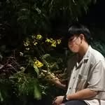 Nicholas Oh - @nicholasohhhh_ - Instagram