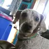nickie - @nicholasolszewski - TikTok