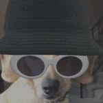Nicholas Cooney - @nicholas.cooney - Instagram