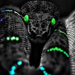 @oney_nicholas - Instagram