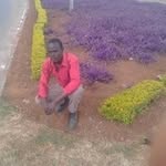 Nicholas Onyango - @onyango9282 - Instagram
