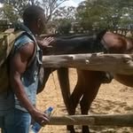 Nicholas Onyango - @niconyango56 - Instagram