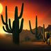 Nicholas Pabst - Facebook