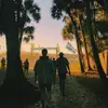 nicholaspalmer_ - @nicholaspalmer_ - TikTok