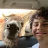Nick - @nicholas0pannone - TikTok