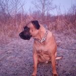Nicholas Paschal - @nicholaspaschal2 - Instagram