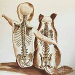 Nicholas Peart - @nicholas.peart.581 - Instagram