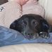 Nicholas Peck - Facebook