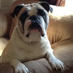 Nicholas Pederson - Facebook