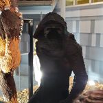 Nicholas - @nicholas.peets - Instagram