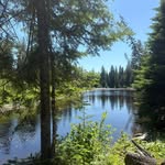 Nicholas Pelchat - @nicholaspelchat - Instagram