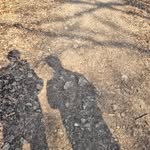 Nicholas Percival - @nicholasppercival - Instagram