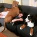 Nicholas Philli - Facebook