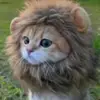 Nicholas Persaud - @nicholas.persaud4 - TikTok