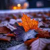 Nicholas Persaud - @nicholas.persaud7 - TikTok
