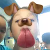 nicholas_petkevicius - @nicholas_petkevic - TikTok