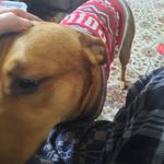 Nicholas Shawn Petry - @petry.nicholas - Instagram