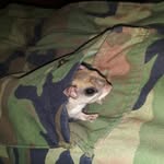 Nicholas Shawn Petry - @nick.petry.7374 - Instagram