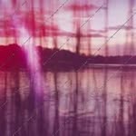 Nicholas Petsch - @friedbertdiedrich332 - Instagram