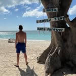 Nicholas Piccirillo - @piccirillo.nicholas - Instagram