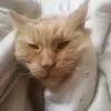 nick - @nicholas.piotrowski - TikTok