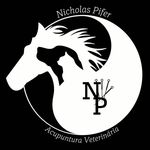 M.V. Nicholas Pifer - @n.p.vetpuntura - Instagram