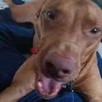 Nicholas Pieper - Facebook