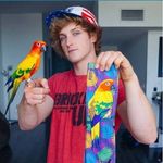 Logan_paul _fanclub - @nicholas_pipitone - Instagram