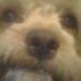 Nicholas Pipitone - Facebook