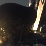 Nicholas Pizza - @notleontrotsky - Instagram