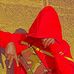 Bishoo Nick - Facebook