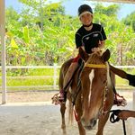 Nicholas Poh - @nicholas.poh.184 - Instagram