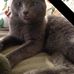 Nicholas Pollitt - Facebook