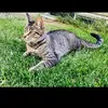 nicholasprevost2 - @nicholasprevost2 - TikTok