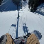 Nicholas Pringle - @pringle.nicholas - Instagram