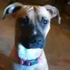 nicholas ramsdell24 - @nicholasramsdell0 - TikTok