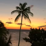 Nicholas Raso - @raso.nicholas - Instagram