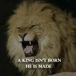 Nicholas Reddy - @nicholas.reddy.30 - Instagram