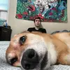 nicholasareeve - @nicholasareeve - TikTok
