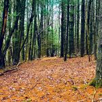 Nicholas Richmond - @nick_richmond189 - Instagram