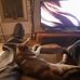 Nickolas Richmond - Facebook