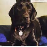 Nicholas alexzander riehl - @nickriehl19 - Instagram
